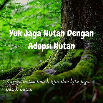 Gambar