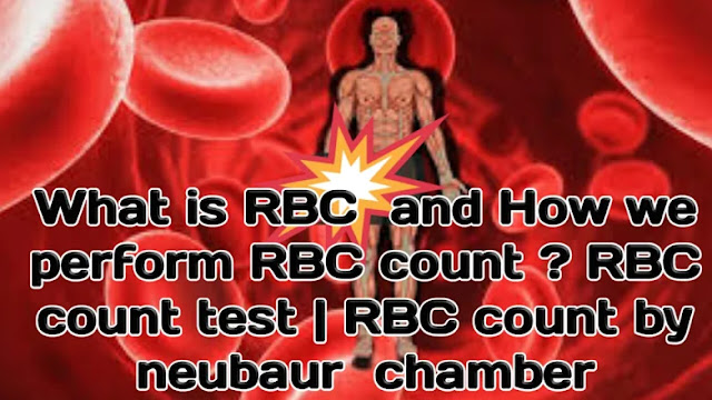 What is RBC  and How we perform RBC count ? RBC count test