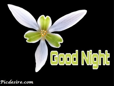 Top 101 Good Night Images || Best Good Night Images Top 101 Good Night Images || Best Good Night Images