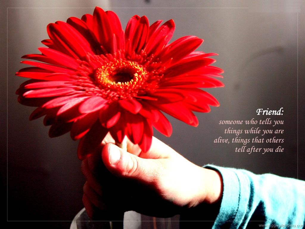 Living and non living things. Directions color,cut and paste the creatures into the correct columns. Living non living things for kids. Alive not alive worksheets. Once alive things examples.