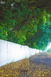 blur photoshop editing dslr backgrounds picsart cc natural photoshopcctutorial tutorial studio blurred some
