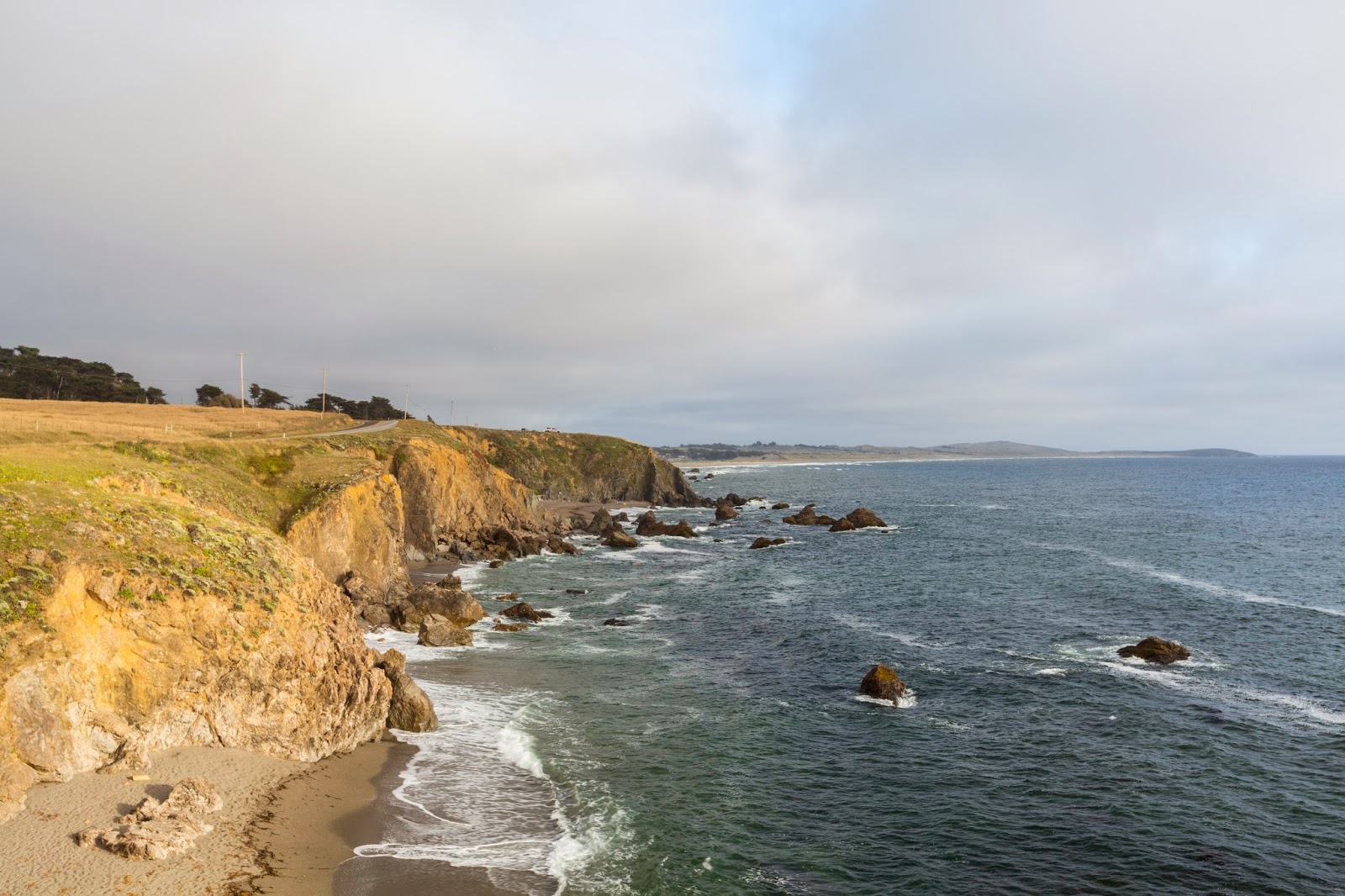 Naturetastic Blog Tomales, Bodega Bay, Duncans Mills, Jenner California's Coast