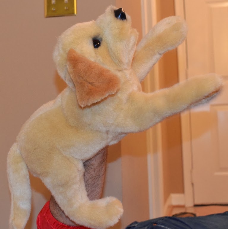 Whom You Know Whom You Know Continues to Highly Folkmanis