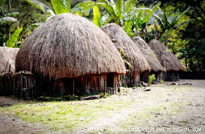 Rumah Adat Honai