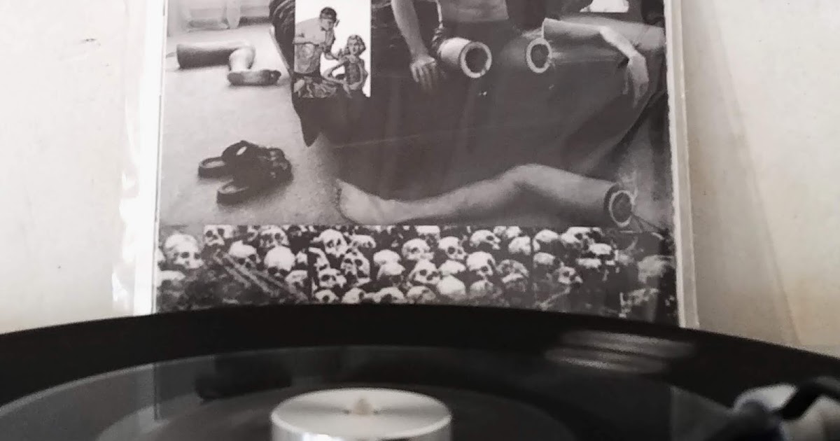 ALUMINUM KNOT EYE Neutered and Declawed 7inch