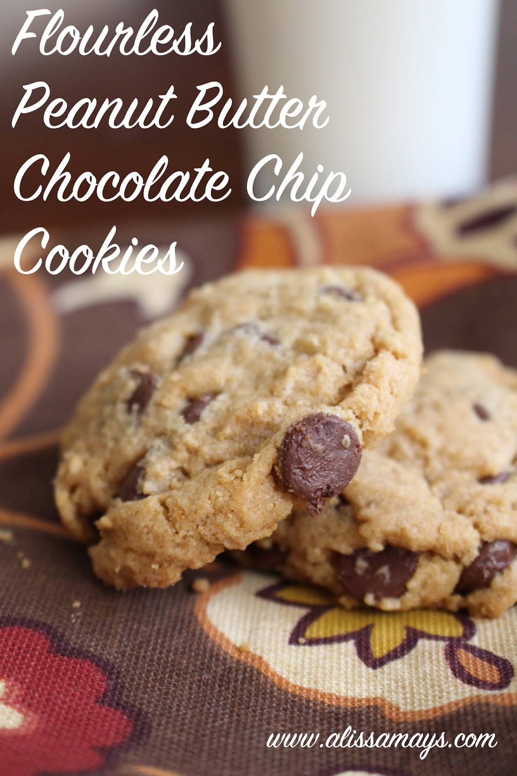 Alissamay's Flourless Peanut Butter ChocolateChip Cookies