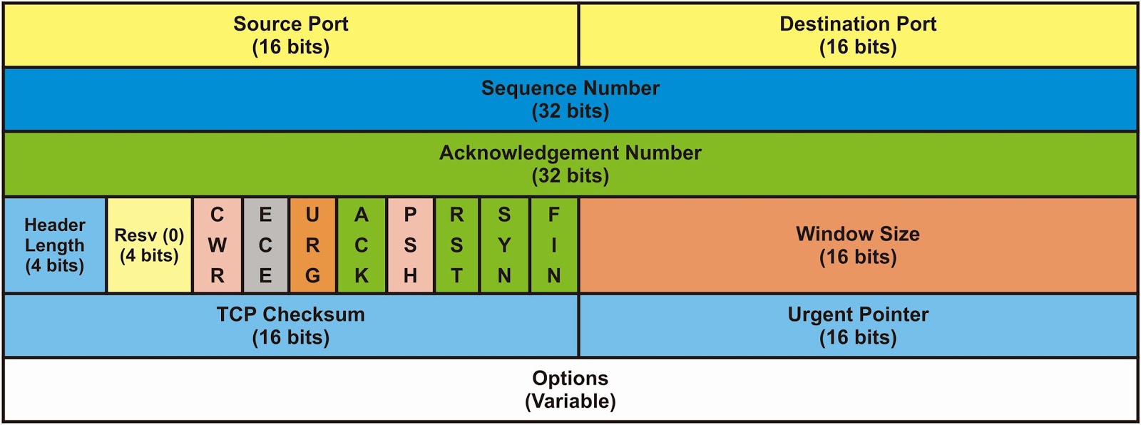 IT Network Administration: Bentuk dan Struktur TCP Header