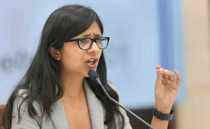 DCW seeks FIR against woman who uploaded video of 'vulgar dance' with son on social media, New Delhi, News, Woman, Police, Complaint, FIR, Child, National