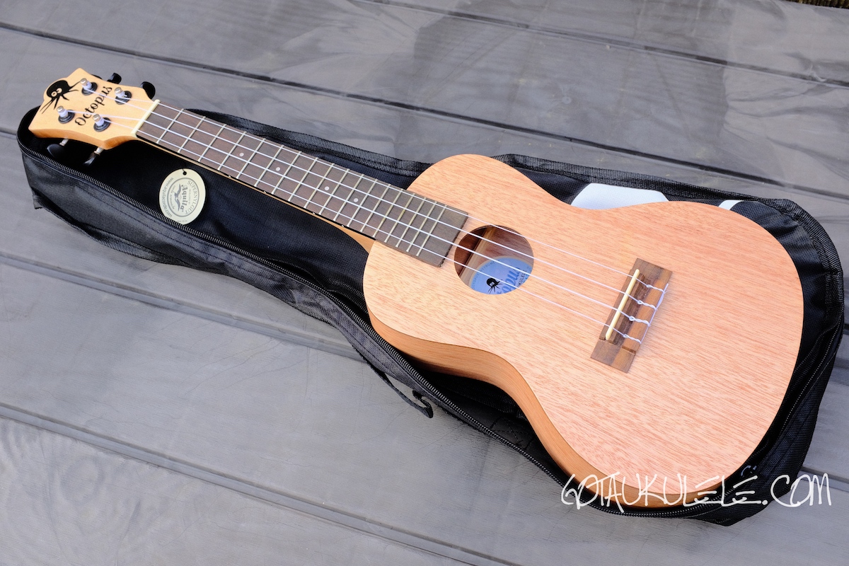 Octopus UK215C Concert Ukulele REVIEW