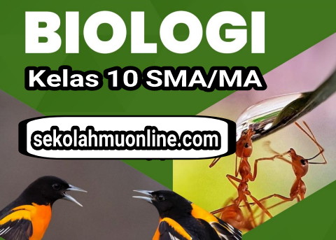 Soal ruang lingkup biologi kelas 10