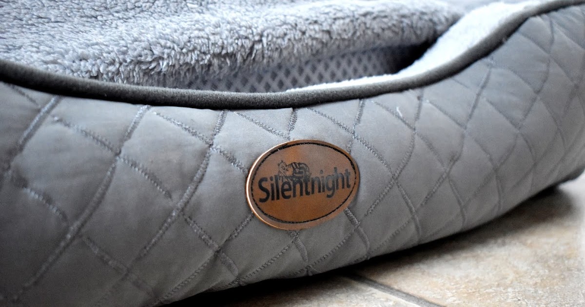 Silentnight Airmax Pet Bed Review Beth Owen