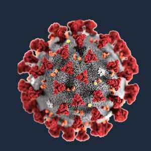 What is the coronavirus