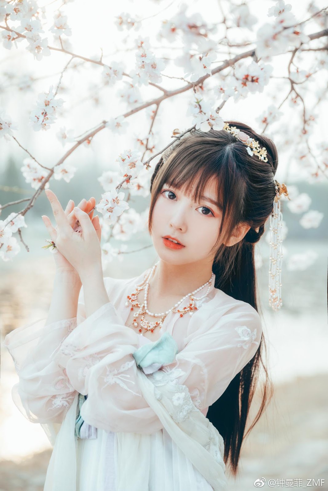 Chinese beautiful model - Cosplay The Cherry Blossom Fairy with Historical Costume