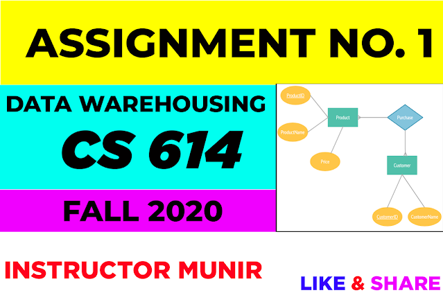 CS614 Assignment 1 Solution Fall 2020 by Instructor Munir