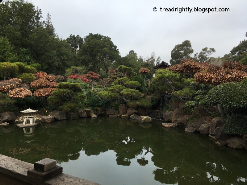Tread Rightly Hayward Japanese Garden