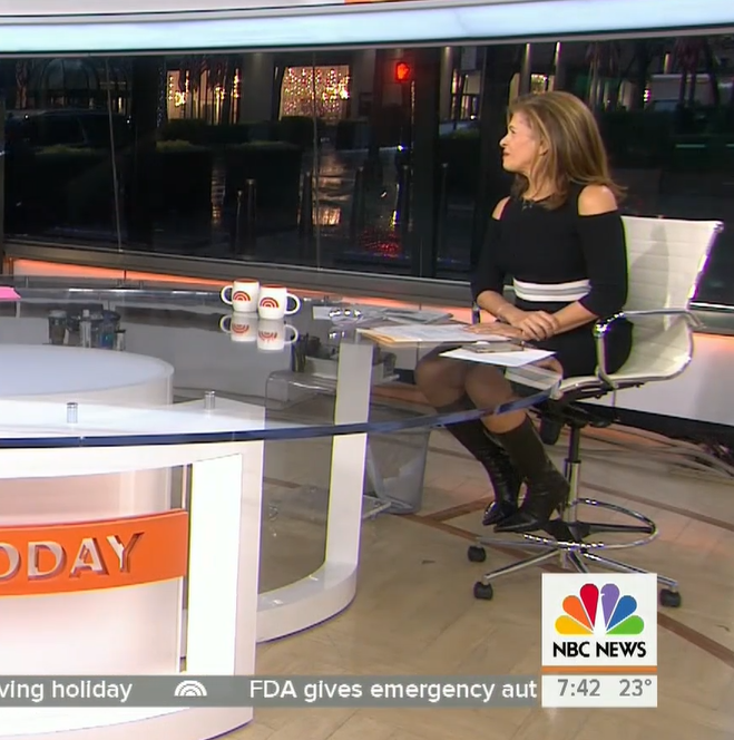 THE APPRECIATION OF BOOTED NEWS WOMEN BLOG : hoda kotb