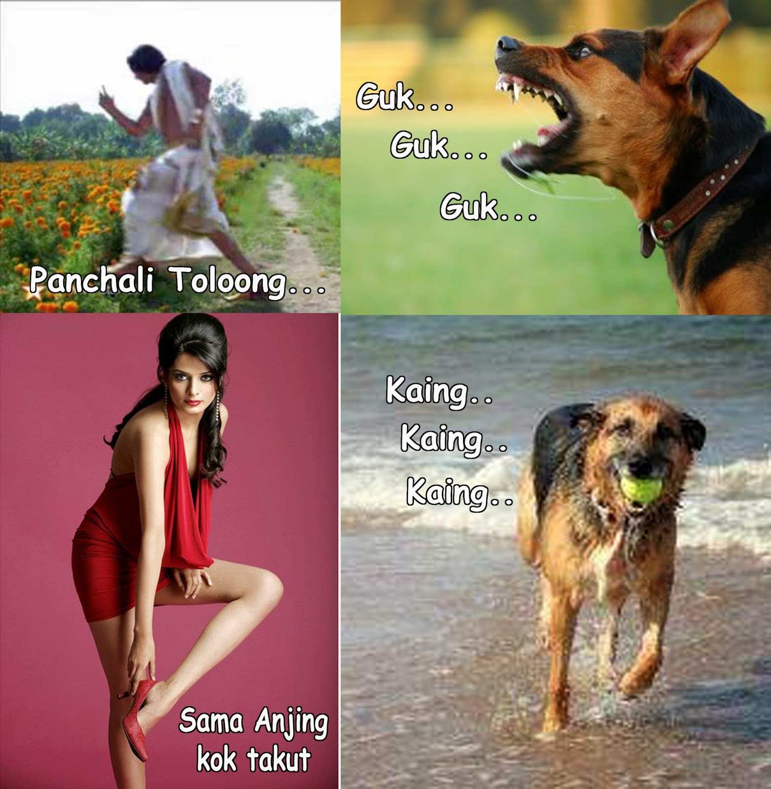 Gambar Meme Lucu Anjing Keren Dan Terbaru DP BBM Lucu Kocak Dan Gokil
