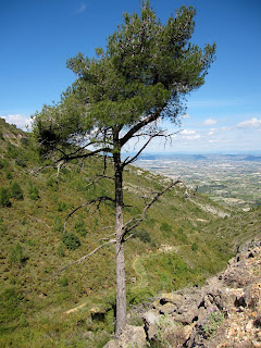 Barranc de la Mata Otos