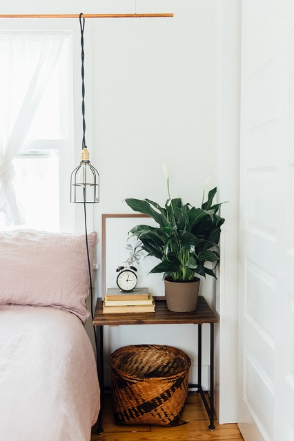 decoration