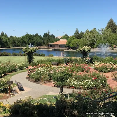 overview of gardens in Heather Farm Park in Walnut Creek, California