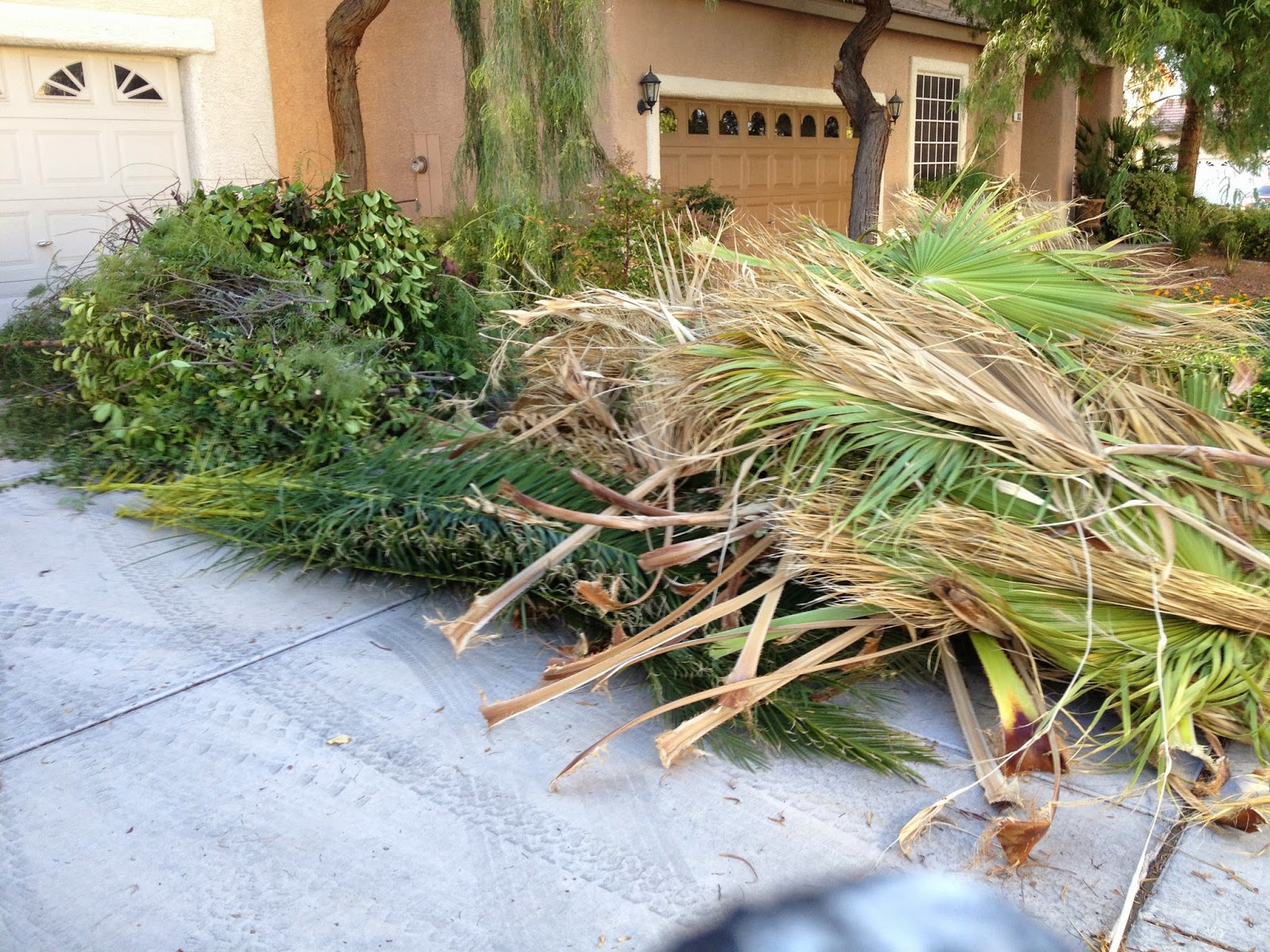 The Pick Up Artist Junk Removal 7026006994 Yard Debris Removal