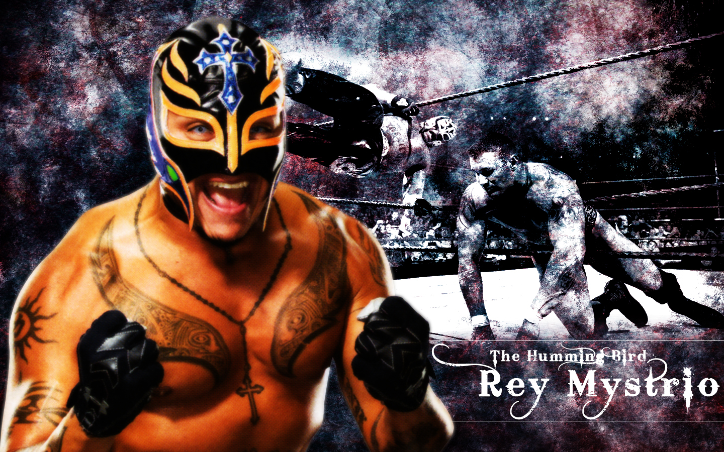 Rey Mysterio 619 wallpapers ~ WWE Superstars,WWE wallpapers,WWE ...