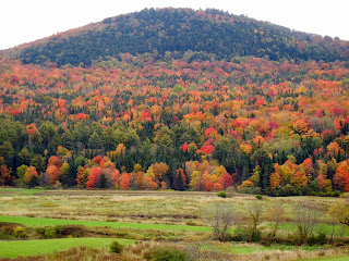 Beautiful fall colors on Route 2 in Vermont