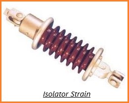 Isolator Jenis Strain