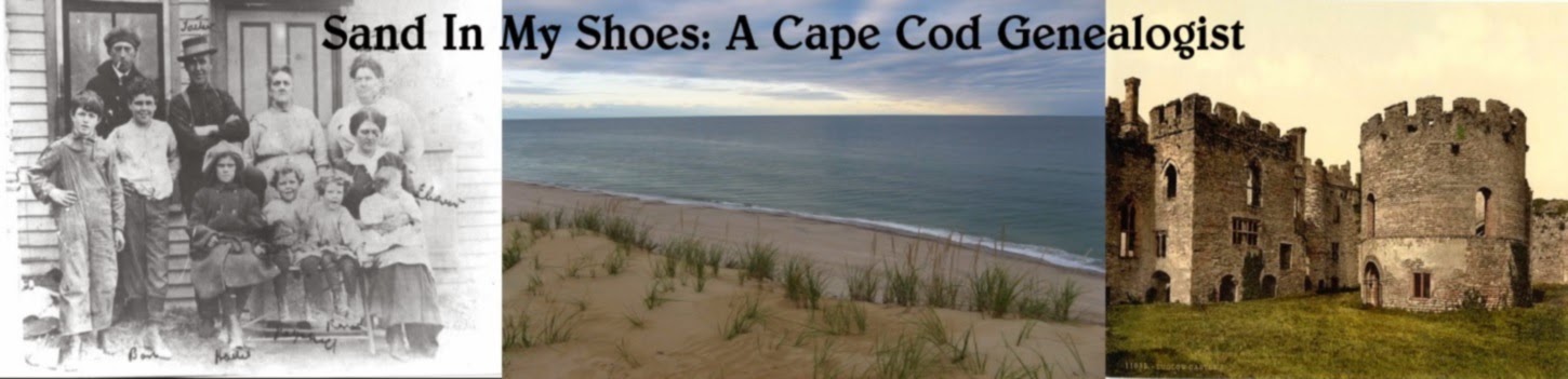                   Sand In My Shoes: A Cape Cod Genealogist