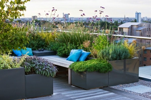 Terrace garden – beautiful design ideas!