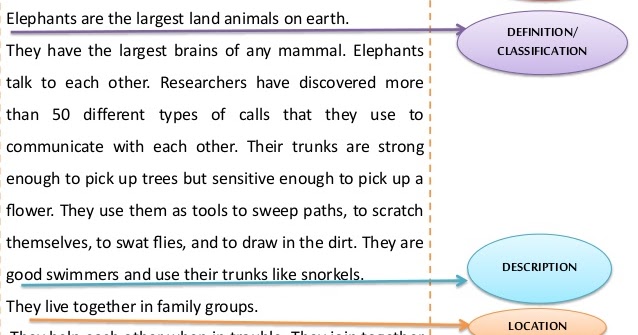 Factual Report Beserta Penjelasan Dan Contohnya Angger Blog
