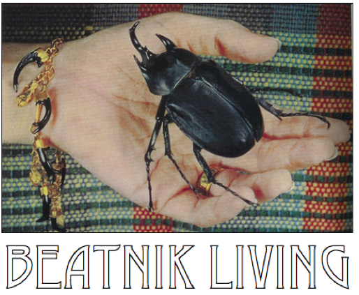 beatnik living