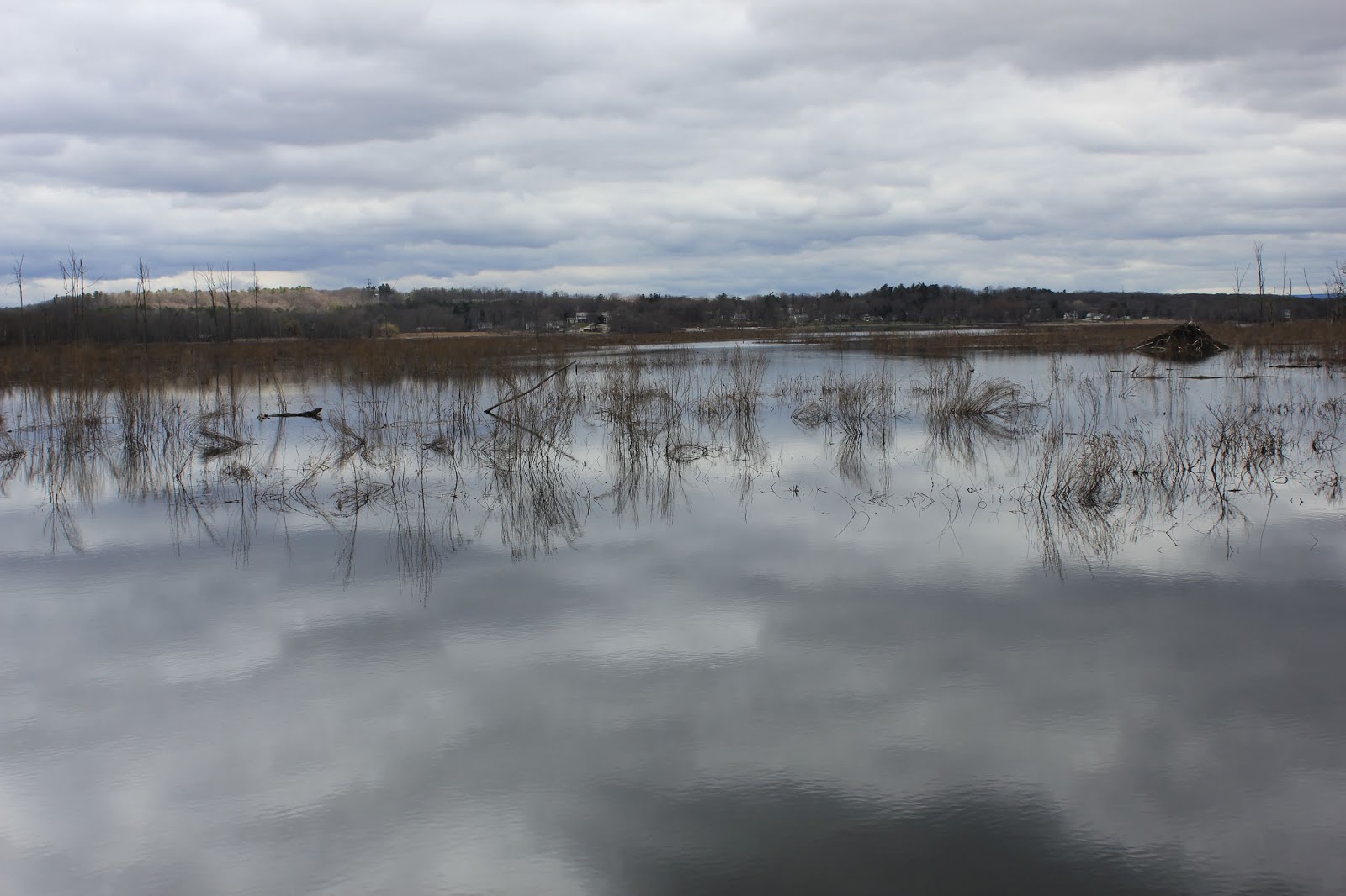 Round Lake Nature Notes