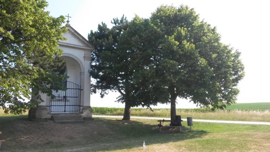 Rund Ums Wetter Wasserdampffrase