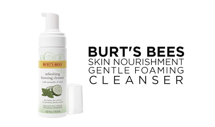 Burt's Bees Skin Nourishment Gentle Foaming Cleanser