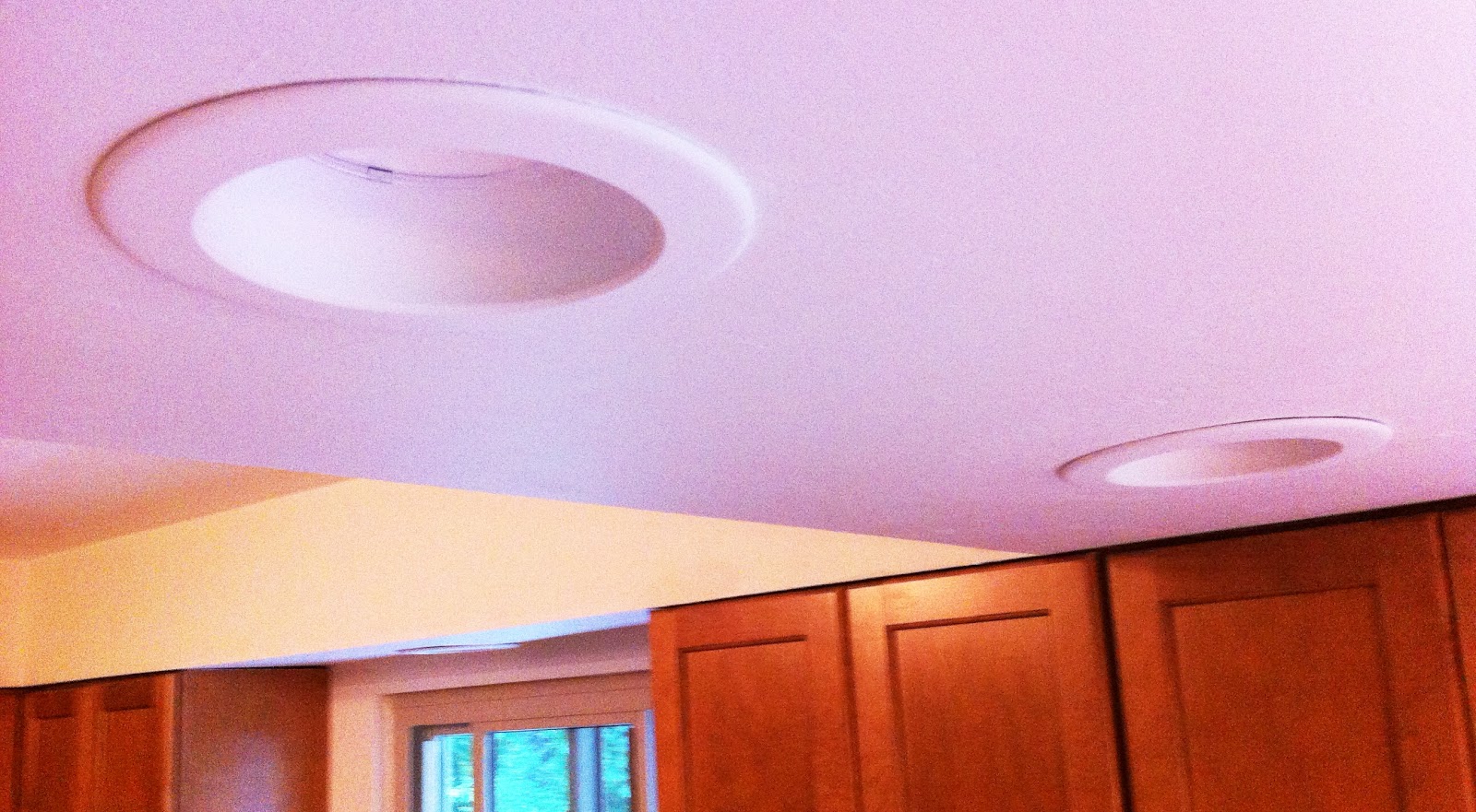 back to the trees LED can lights