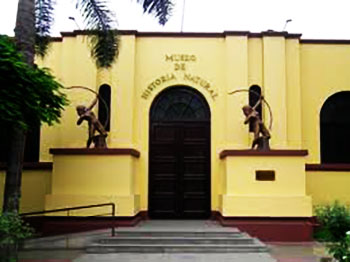 Museo de Historia Natural - UNMSM