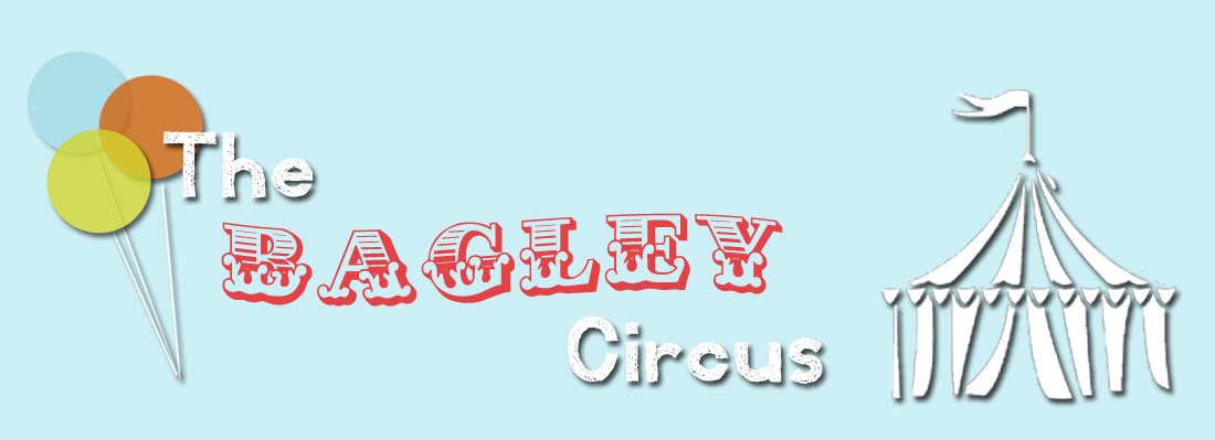 The Bagley Circus