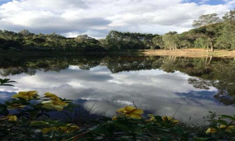 VIAGEM, TURISMO E AVENTURAS POR LUGARES INCRÍVEIS ALBERTINA / MINAS