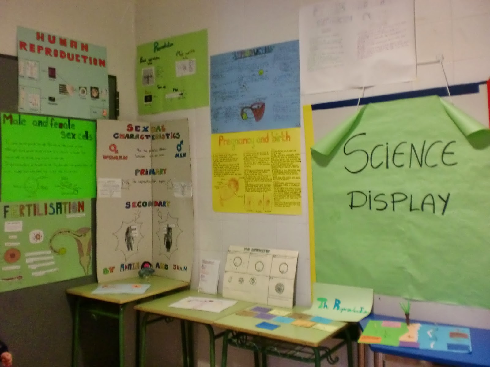 SCIENCE, HISTORY AND GEOGRAPHY, YEAR 5 and 6: December 2013