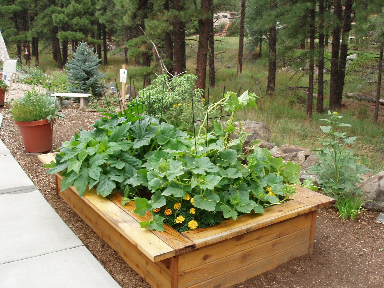 Container Gardening Blog Raised Beds at Olivia White Gardens