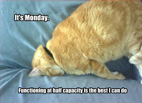 Its Monday - Functioning at Half Capacity Is The Best Thing I Can Do 