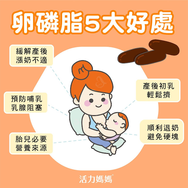 哺乳吃卵磷脂5大好處