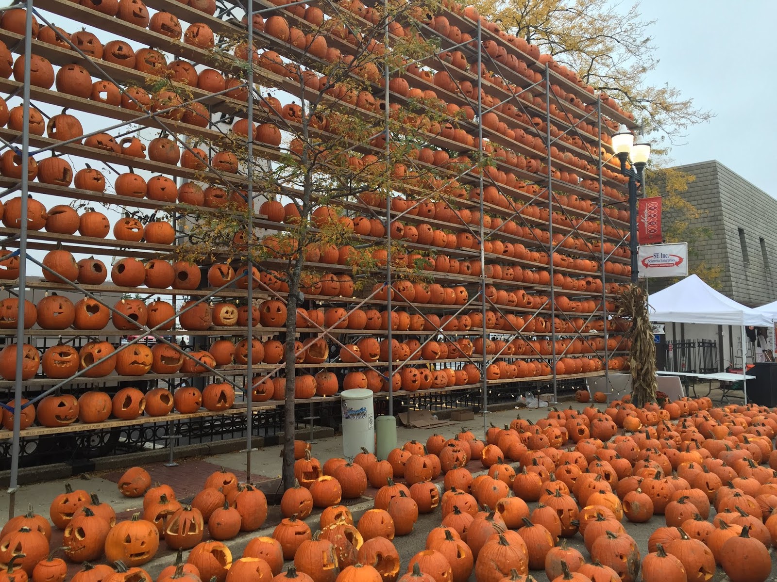 A Little Time and a Keyboard 11 Illinois Pumpkin Festivals Not to Miss