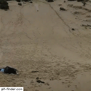 tumblr_3a6ae59e1ae2564e2ed26cb6ee0aba84_a0167b4f_400.gif