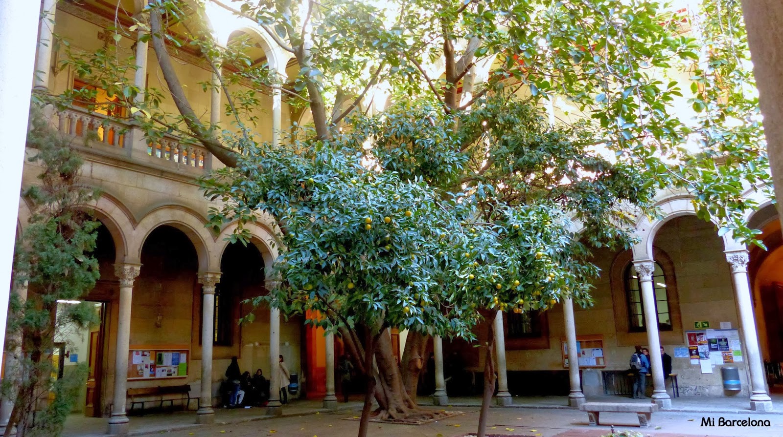 Mi Barcelona: Edificio Histórico de la Universidad de Barcelona