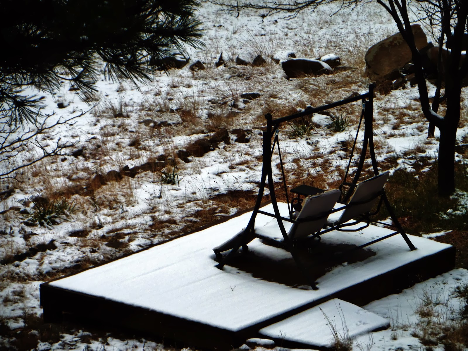 Ryan J. Williams Photography Winter in Munds Park, Arizona