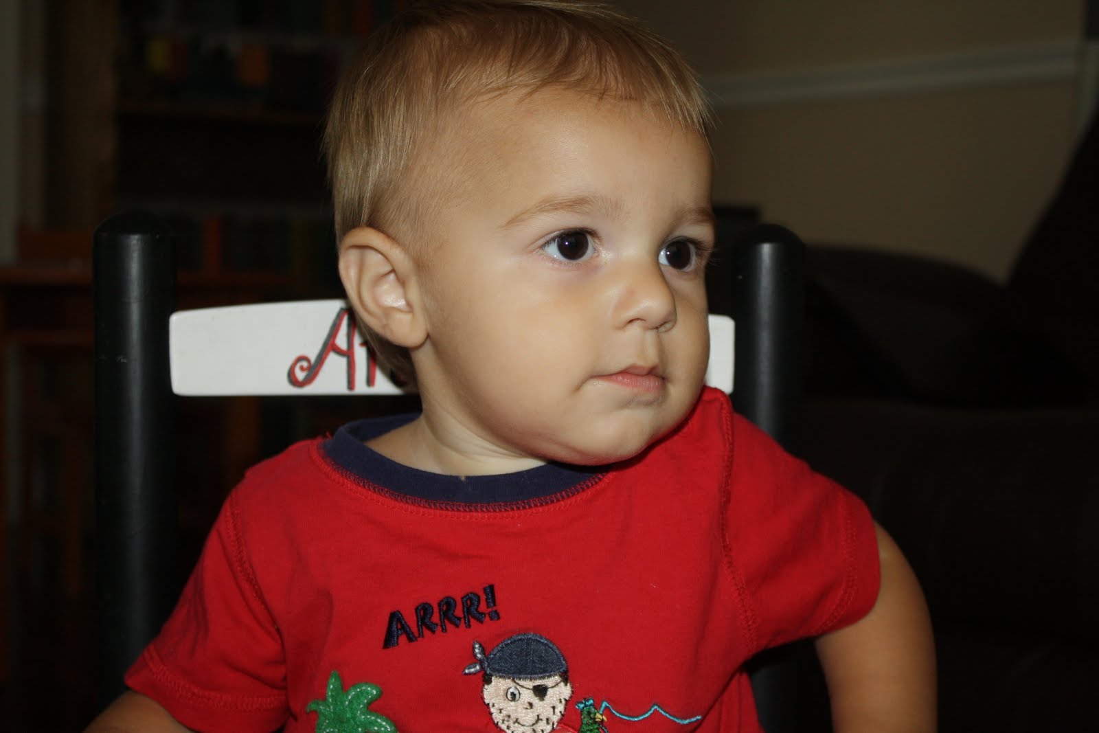 baby-babbles-bo-is-12-months-old