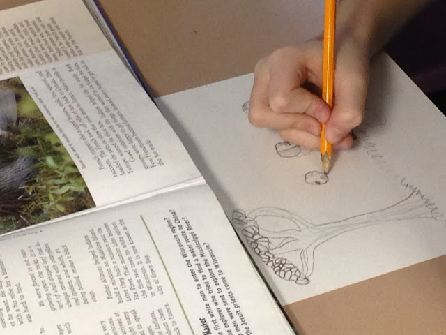 Teaching state history, social studies lessons, elementary social studies, teaching timelines