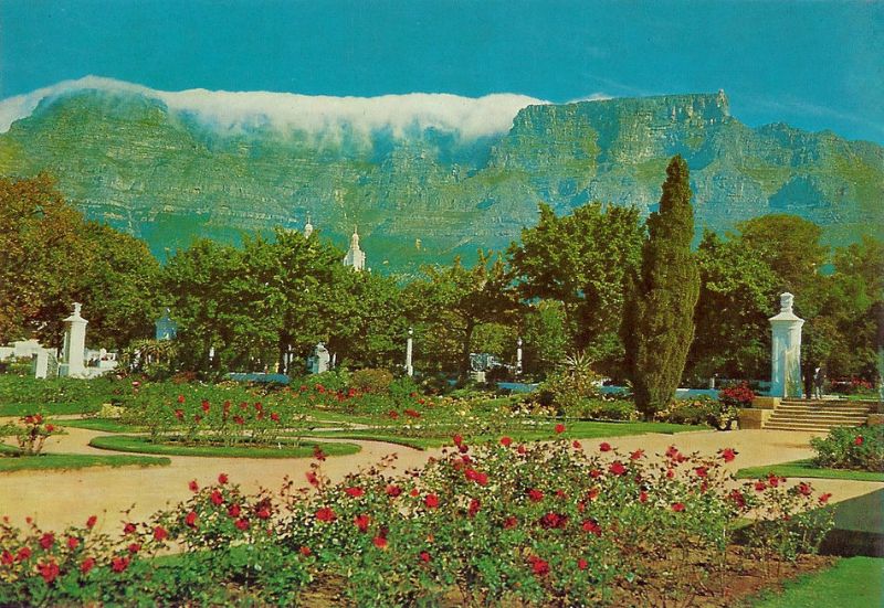 Beautiful Postcards of Cape Town in the 1960s Vintage Everyday